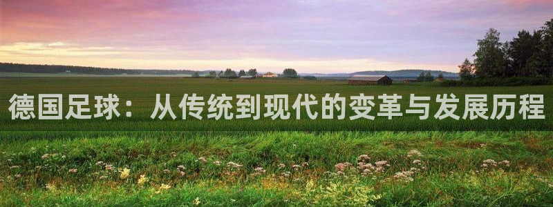 球客岛：德国足球：从传统到现代的变革与发展历程