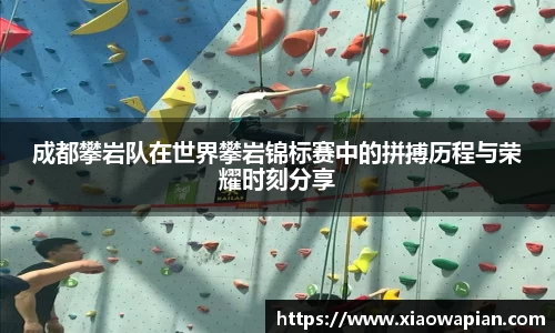 V体育官网