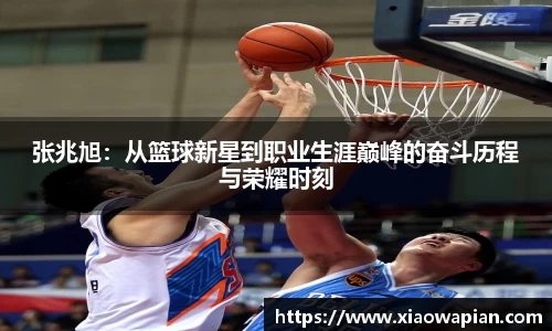 熊猫体育