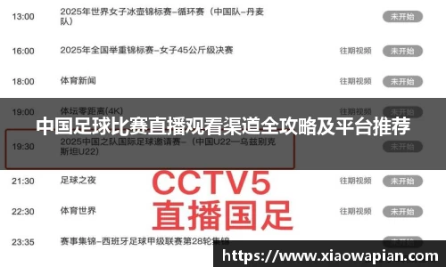 中国足球比赛直播观看渠道全攻略及平台推荐